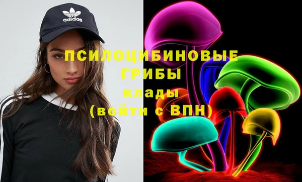 PSILOCYBIN Дмитров