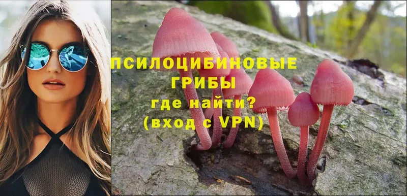 Галлюциногенные грибы Magic Shrooms  Ельня 