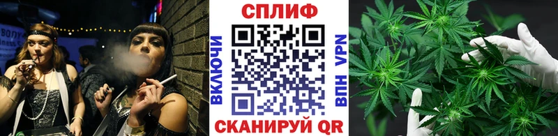Каннабис VHQ  где найти наркотики  мега онион  Ельня 
